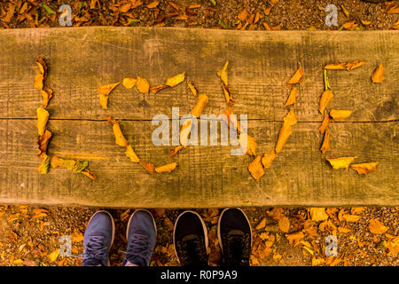 Matura in piedi al banco di legno con scritta la parola amore su di esso fatto di foglie Foto Stock