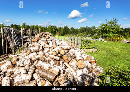 Grande pila di estratto secco di legna da ardere di betulla, tagliate gli alberi alla foresta. Le risorse rinnovabili di energia Foto Stock