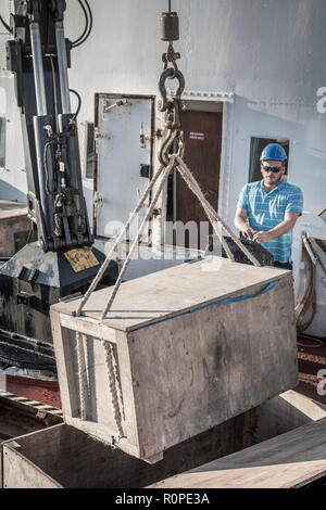 Un uomo carichi carico nella stiva dell'Lundy Island fornitura nave MS Oldenburg sulla banchina a Bideford in North Devon. Foto Stock