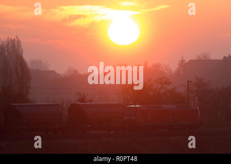 Drosa, Germania. 07 Nov, 2018. Un treno merci rotoli attraverso il Osternienburger Land in Anhalt-Bitterfeld a sunrise. La contea ha una golden giorno di novembre davanti a esso. Il sole dovrebbe brillare tutto il giorno. Credito: Klaus-Dietmar Gabbert/dpa-Zentralbild/ZB/dpa/Alamy Live News Foto Stock