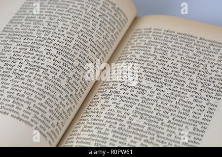 Germania. 05 Nov, 2018. Aufgeschlagene Das Buch des literarischen Werks Edda. Ein altes esemplare, gedruckt in Breitkopf-Fraktur (altdeutsche Schrift). Die Schriftart aus der Gruppe der gebrochenen Schriften guerra Anfang bis des 20. Jahrhunderts die meistbenutzte Druckschrift im deutschsprachigen Raum. | Utilizzo di credito in tutto il mondo: dpa/Alamy Live News Foto Stock