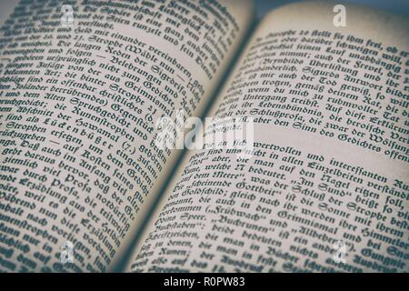 Germania. 05 Nov, 2018. Aufgeschlagene Das Buch des literarischen Werks Edda. Ein altes esemplare, gedruckt in Breitkopf-Fraktur (altdeutsche Schrift). Die Schriftart aus der Gruppe der gebrochenen Schriften guerra Anfang bis des 20. Jahrhunderts die meistbenutzte Druckschrift im deutschsprachigen Raum. | Utilizzo di credito in tutto il mondo: dpa/Alamy Live News Foto Stock