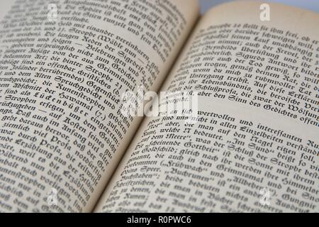 Germania. 05 Nov, 2018. Aufgeschlagene Das Buch des literarischen Werks Edda. Ein altes esemplare, gedruckt in Breitkopf-Fraktur (altdeutsche Schrift). Die Schriftart aus der Gruppe der gebrochenen Schriften guerra Anfang bis des 20. Jahrhunderts die meistbenutzte Druckschrift im deutschsprachigen Raum. | Utilizzo di credito in tutto il mondo: dpa/Alamy Live News Foto Stock