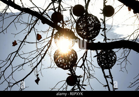 Hannover, Germania. 07 Nov, 2018. Le decorazioni di Natale appendere nella luce del sole su un albero in città interna della capitale della Bassa Sassonia. Il termometro in parti della Bassa Sassonia è di origine poco al di sotto di 20 gradi centigradi in questo giorno di autunno caldo. Credito: Holger Hollemann/dpa/Alamy Live News Foto Stock