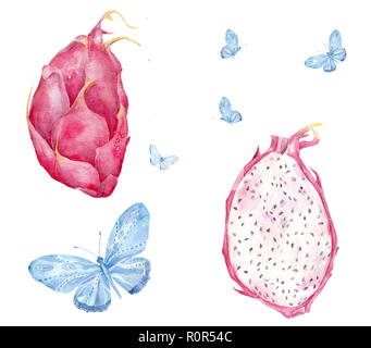 Luminose succoso tropicali Frutta drago acquerello clip art su sfondo bianco Foto Stock