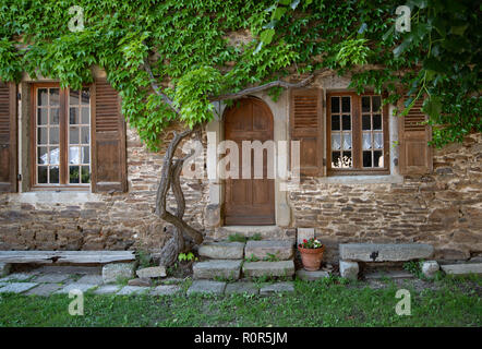 La porta di ingresso di una casa nel pittoresco villaggio francese di Sainte-Croix-en-Jarez, incorniciato da un glicine superriduttore su un casuale macerie muro medievale Foto Stock