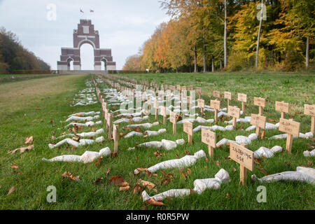4 Novembre 2018: Piccardia, Francia. La vite perse mostra di commemorazione delle vittime ogni giorno della Prima Guerra Mondiale. Creato dall'artista Rob H Foto Stock