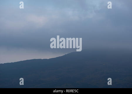 Forest Hills, pass, con alberi d'autunno nella fitta nebbia. cumulonimbus nuvole grigie e appendere sopra le montagne, il pass.Ci sono grandi alberi sulla pass. vi è una striscia di luce tra la collina e le nuvole. Foto Stock