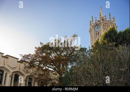 La torre dell orologio e vecchie arti e commercio edificio all'Università di Auckland. Vista con alberi e cielo blu sullo sfondo. Foto Stock