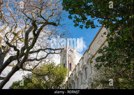 La torre dell orologio e vecchie arti e commercio edificio all'Università di Auckland. Vista con alberi e cielo blu sullo sfondo. Foto Stock