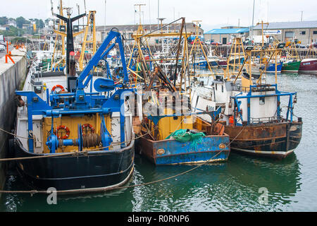 19 settembre 2014 le navi per la pesca a strascico di varie dimensioni ormeggiato nel rifugio sicuro della trafficata Kilkeel Harbour nella contea di Down Irlanda del Nord Foto Stock