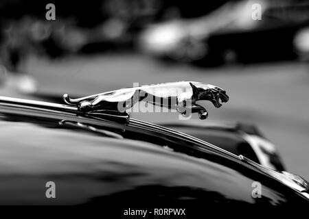 Jaguar ornamento del cofano Foto Stock