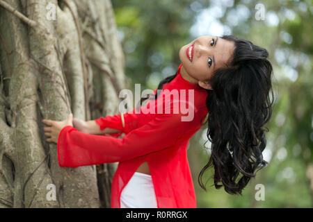 Incantevole donna vietnamita la piegatura su un grande albero di fico in un parco, Vietnam Foto Stock