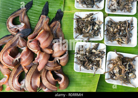 Cuocere le rane e fresche kipper in un tropicale mercato asiatico in Thailandia Foto Stock