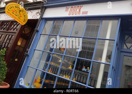La casa di anatra, Brighton Regno Unito Foto Stock