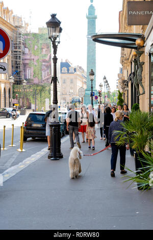 Una donna prendendo il suo podle per una passeggiata a Parigi, Francia Foto Stock