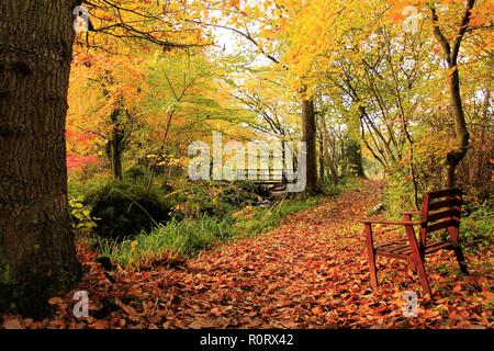 Regno Unito Ulverston. Regno Unito autunno rurale scena da Ulverston Cumbria Regno Unito. Foto Stock
