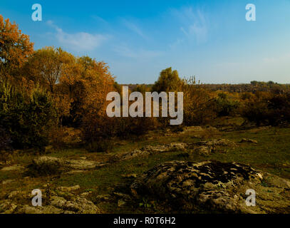 Giornata di sole panorama sulla riva del fiume Autunno dorato Foto Stock