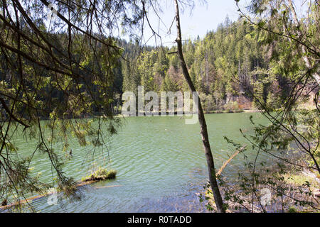 Famoso lago rosso in Romania Foto Stock