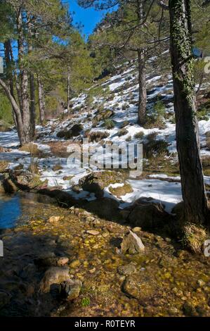 La Garganta creek, parco naturale della Sierras de Cazorla Segura y Las Villas, Jaen provincia, regione dell'Andalusia, Spagna; l'Europa. Foto Stock