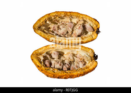 Cacao (cacao) Frutta con semi affettato e isolato su sfondo bianco Foto Stock