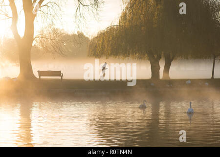 L'uomo corre sotto il salice piangente albero mattina presto sole visto attraverso la nebbia sull'Avon in inglese tipica scena riverside Foto Stock