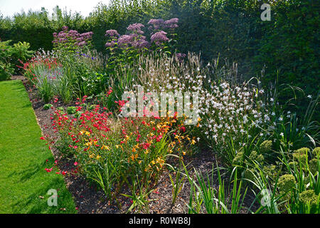 Fiori colorati in frontiera con attraente piantando mescolato con Eupatorium maculatum in un paese giardino Foto Stock