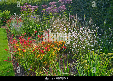 Fiori colorati in frontiera con attraente piantando mescolato con Eupatorium maculatum in un paese giardino Foto Stock