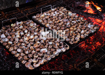 Primo piano di alcuni vassoi di caragols a la llauna, una ricetta di lumache tipici della Catalogna, Spagna, essendo cotti su una legna da ardere Foto Stock
