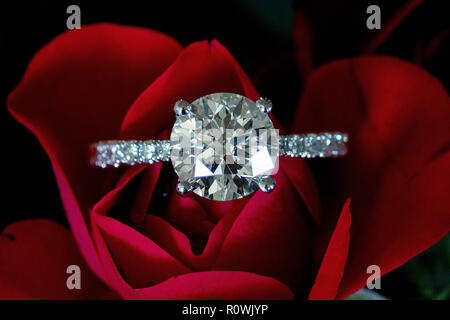 Platino Diamante anello su Red Rose (cuori & frecce) Foto Stock