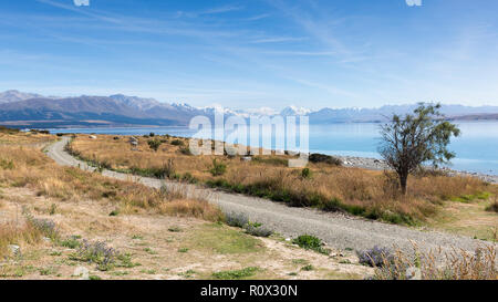 Lago Pukaki e Mount Cook / Aoraki Foto Stock