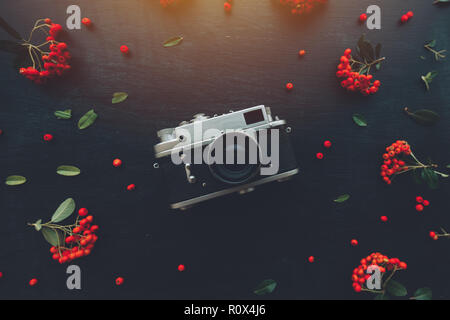 Piatto tanga laici vecchio stile vintage fotografia fotocamera sul legno scuro dello sfondo con composizioni floreali Foto Stock