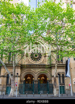 Londra platani nella parte anteriore della Grande Sinagoga di Sydney Elizabeth Street NSW Australia. Foto Stock