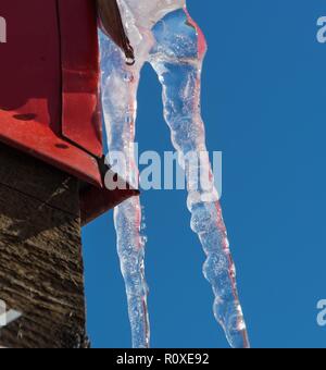 Gocciolamento di acqua e due ghiaccioli al tramonto contro il cielo blu. La Russia. Foto Stock