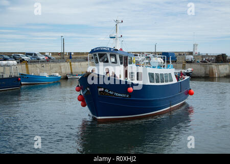 Il lieto annunzio crociera in barca per le isole farne proveniente in attraccare in porto Seahouses Seahouses, villaggio, Northumberland, Regno Unito Foto Stock