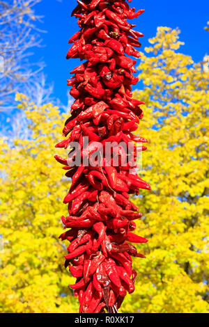 Peperoncino rosso Ristas appeso in Plaza, essiccazione nel caldo sole di caduta a Santa Fe, New Mexico USA Foto Stock