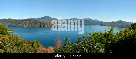 Intorno alla Nuova Zelanda - Queen Charlotte Sound, Picton - panorama Foto Stock