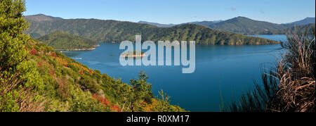 Intorno alla Nuova Zelanda - Queen Charlotte Sound, Picton - panorama Foto Stock