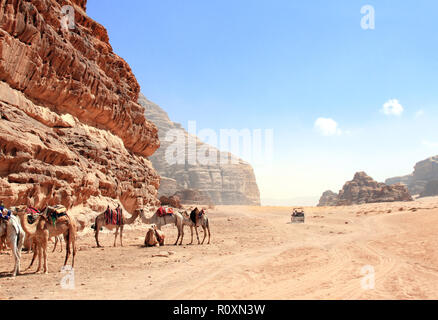 Il safari in jeep a Wadi Rum desert, Giordania. I cammelli e i turisti in giro in macchina su off-road sulla sabbia tra le splendide rocce Foto Stock