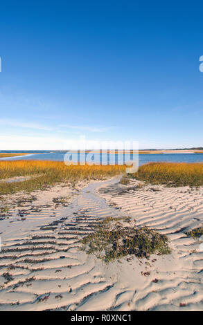 Spiaggia Skaket in Orleans, Cape Cod, Massachusetts, STATI UNITI D'AMERICA a bassa marea con un cielo azzurro e la spiaggia sabbiosa di erba Foto Stock