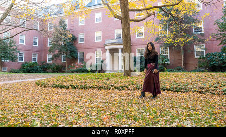 Donna asiatica in piedi sotto albero colorato in autunno Foto Stock