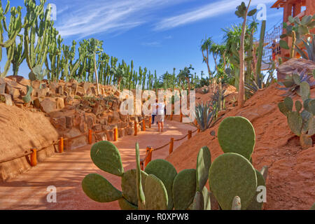 Il giardino dei Cactus caratteristica al Croco Park, Agadir, Souss-Massa provincia meridionale del Marocco, Nord Africa Occidentale. Foto Stock