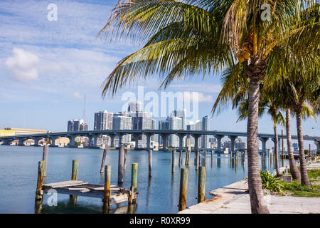 Miami Florida, Watson Island, Biscayne Bay, MacArthur Causeway, palme, ponte, skyline della città, edifici, skyline della città, condomini, grattacieli di altezza Foto Stock