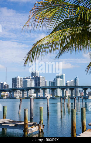 Miami Florida, Watson Island, Biscayne Bay, MacArthur Causeway, palme, ponte, skyline della città, edifici, skyline della città, condomini, alloggi, alti grattacieli Foto Stock