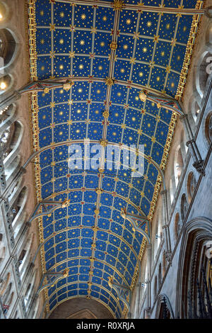 All'interno della Cattedrale di Carlisle, England, Regno Unito Foto Stock