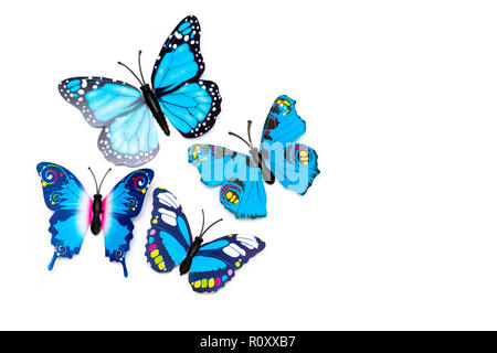 Gruppo di variopinte farfalle tropicali isolati su sfondo bianco Foto Stock