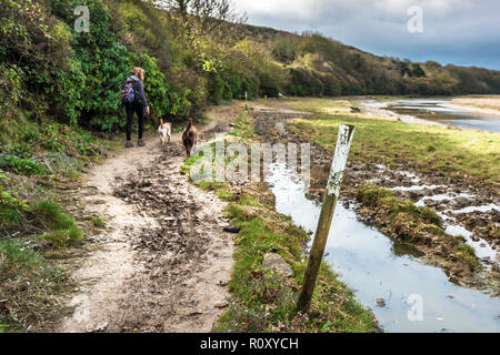 Marcatore in legno posti su un sentiero fangoso sul Gannel Estuary in Newquay Cornwall. Foto Stock