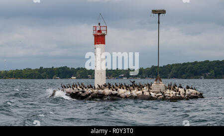 Faro in St Lawrence fluviale, le Mille Isole Foto Stock