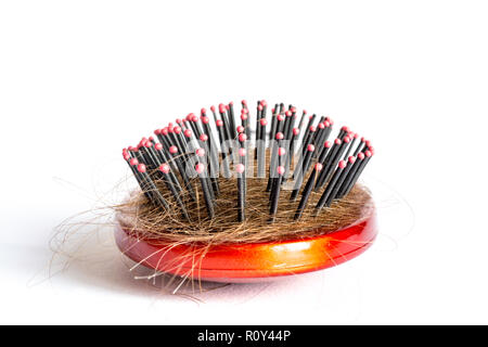 Pettinare i capelli a ciocche, fascio di capelli, un sacco di capelli sulla spazzola per capelli close up su sfondo bianco Foto Stock