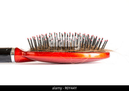 Pettinare i capelli a ciocche, fascio di capelli, un sacco di capelli sulla spazzola per capelli close up su sfondo bianco Foto Stock